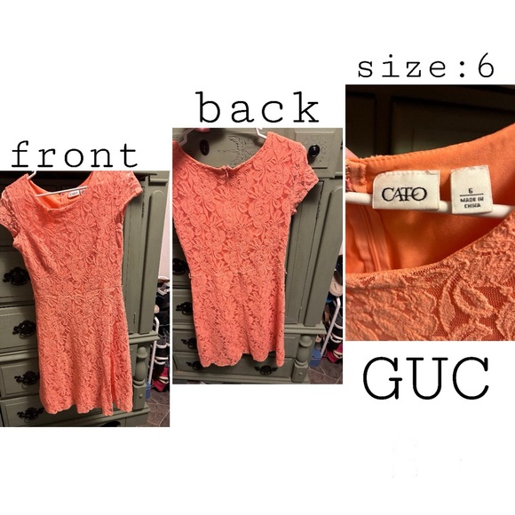 Cato Fashion Size 6 Orange Floral Lace Dress - Picture 1 of 1